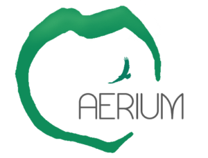 aerium oasis collectif ecolieu ecovillage logo