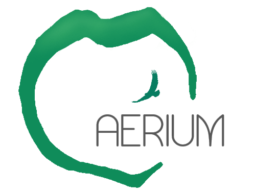 aerium oasis collectif ecolieu ecovillage logo